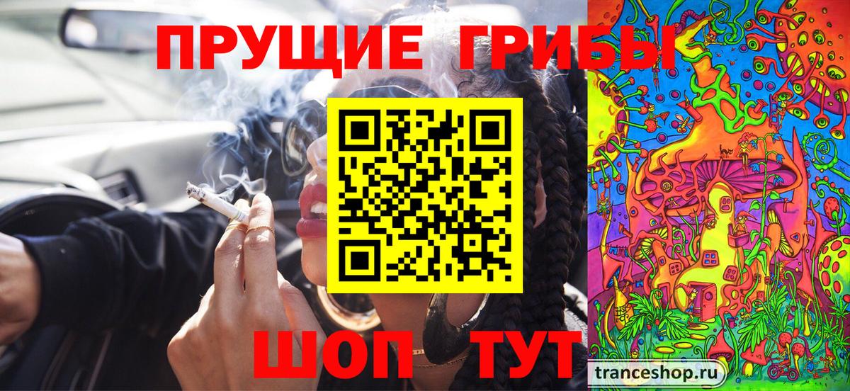 Алатырь  Псилоцибиновые грибы GOLDEN TEACHER  Вход с VPN 